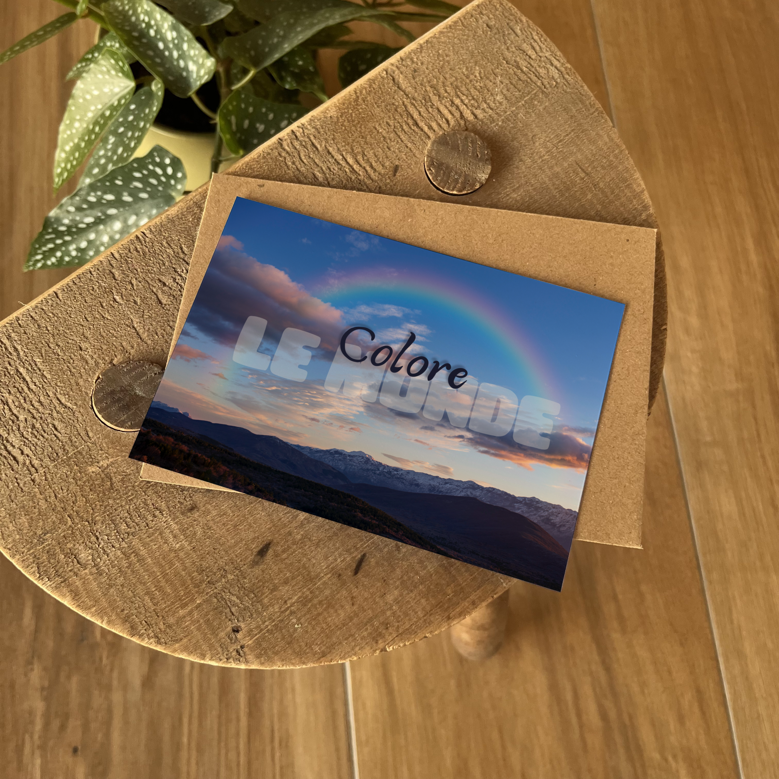Colore Le Monde – Image 3