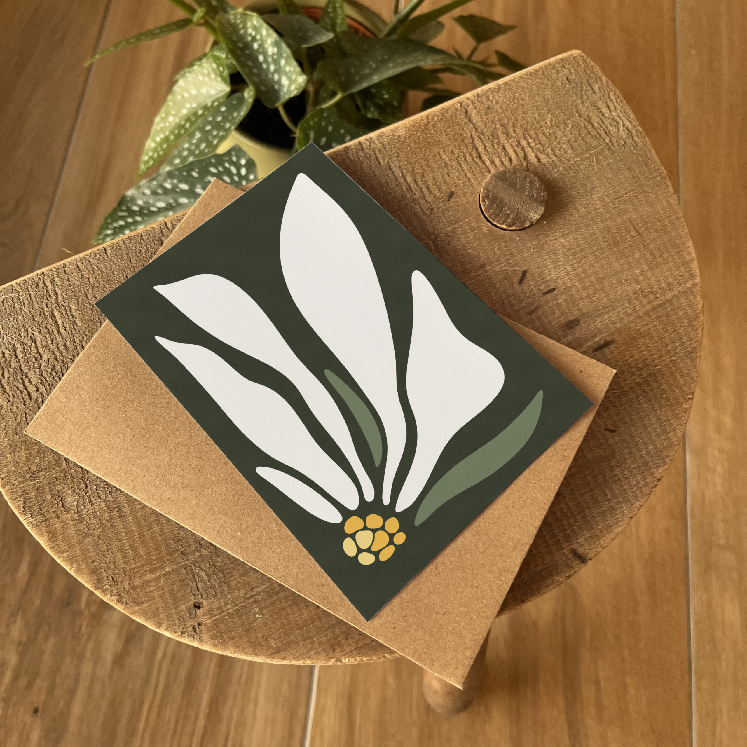 L'Edelweiss graphique – Image 4