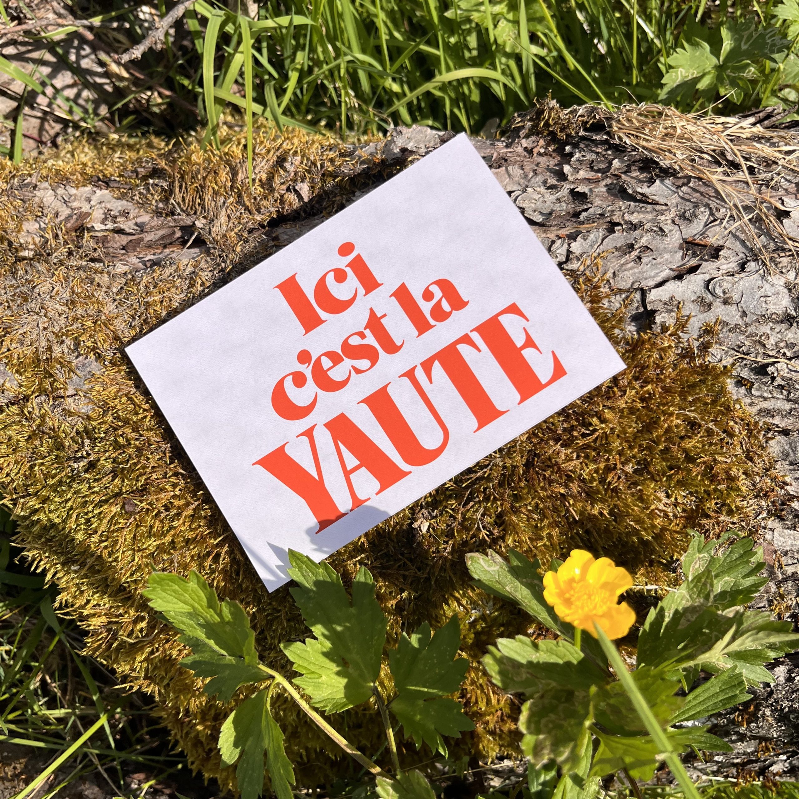 Ici c’est la Yaute – Image 3