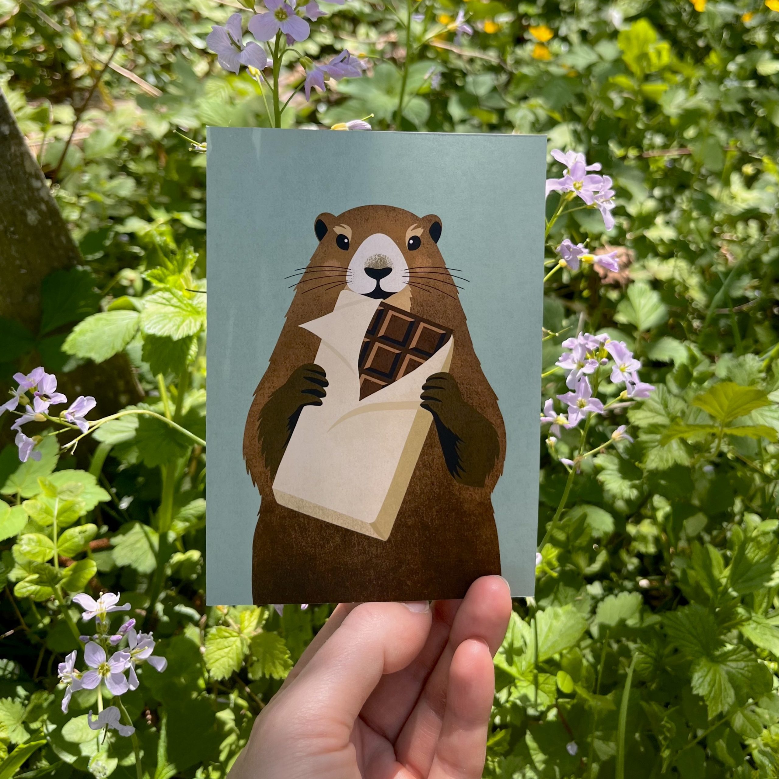 Marmotte & Chocolat – Image 4