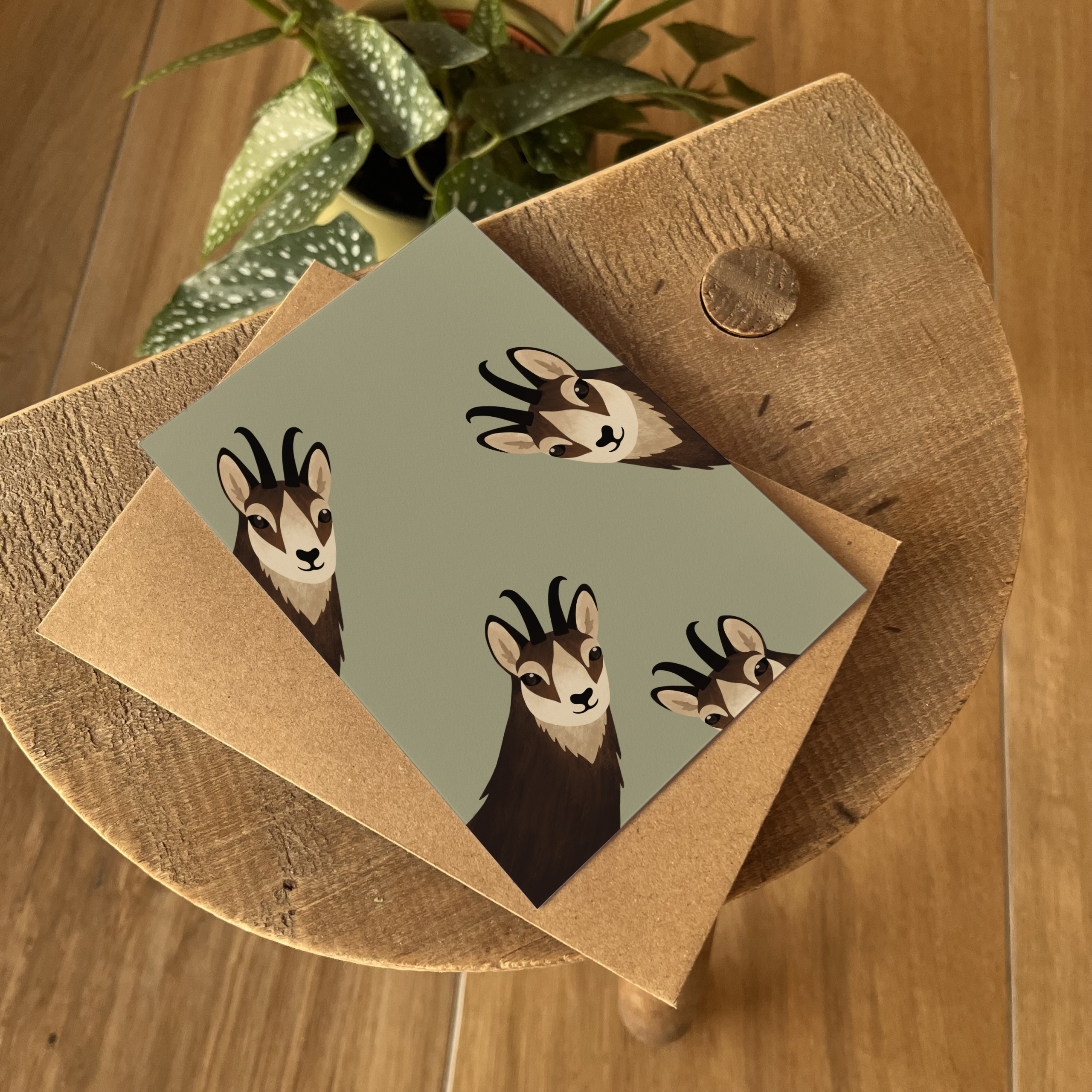 Les Quatre Chamois – Image 3