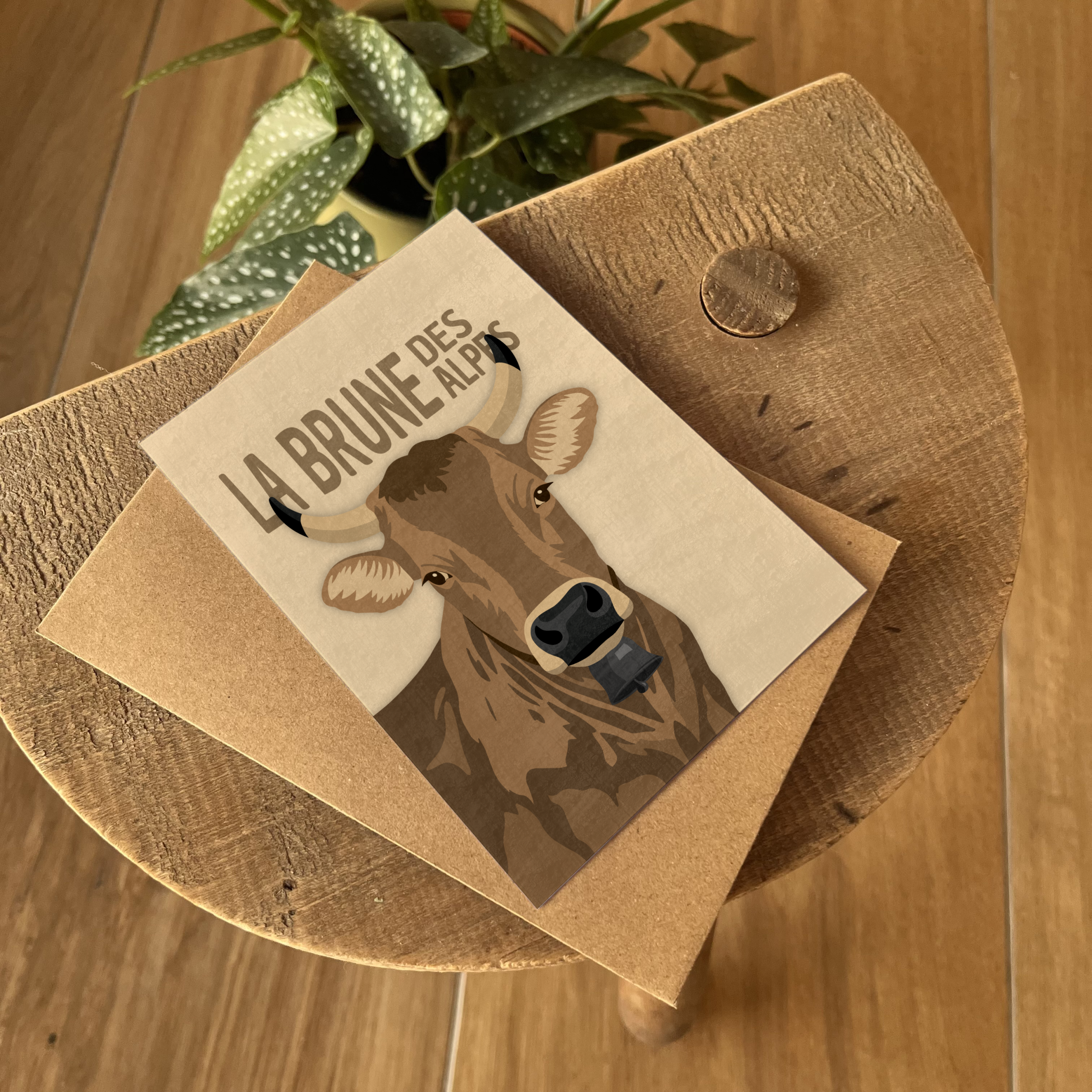 La Vache Brune des Alpes – Image 3
